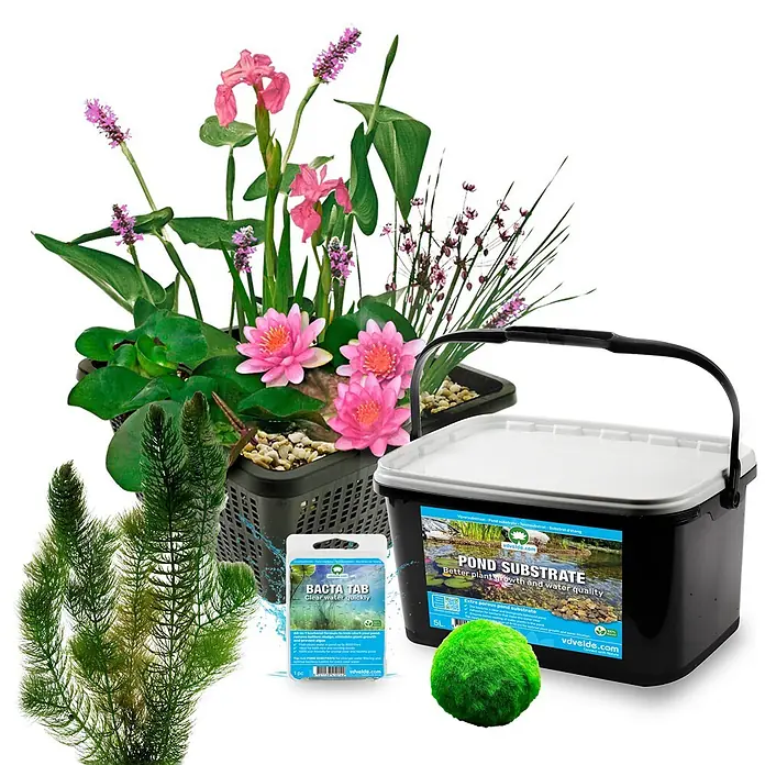 Mini-Teich Komplettset Rosa 25-90L - 11 Wasserpflanzen & Bakterien -  - Teichpflegeset: Wasserpflanzen (rosa Seerosen, Schwertlilien), ein schwarzer Eimer Teichsubstrat, Bakterientabs, Hornkraut, grüner Moosball.