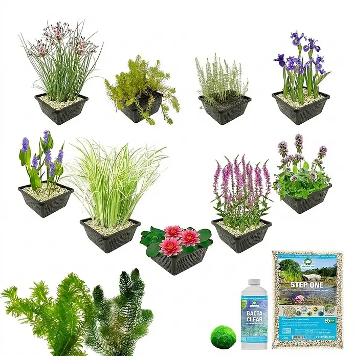 Vdvelde Wasserpflanzen-Mix - Pflanzenmischung, 48 Stk. - Auswahl an Wasserpflanzen in schwarzen Töpfen, mit Teichsubstrat, Flüssigbehandlung und einem Moosball.