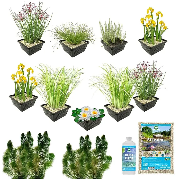 Vdvelde Wasserpflanzen-Mix - Pflanzenmischung, 43 Stk. - Sortiment von Teichpflanzen in schwarzen Körben, darunter blühende Pflanzen, Gräser, Seerosen und zwei Teichpflegeprodukte.