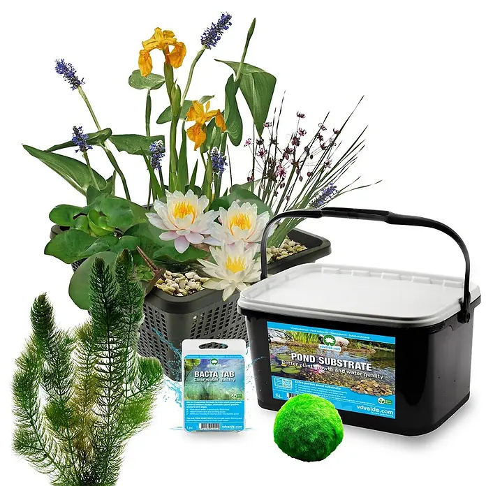 Mini-Teich Komplettset Weiß 25-90L - 11 Wasserpflanzen & Bakterien -  - Eine Auswahl an Teichpflanzen in einem Korb, ein Eimer Teichsubstrat, eine Packung Wasserbehandlung und eine Mooskugel zur Teichpflege.