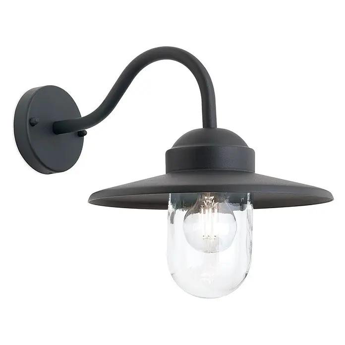 Orion Leuchten Außenwandleuchte Edward - 60 W, Schwarz, Klar, IP44 - Mattschwarze Schwanenhals-Außenwandleuchte mit breitem Rand und klarem Glasschirm.