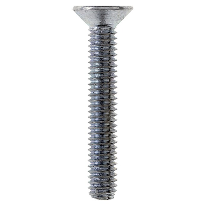 Profi Depot Tornillo de cabeza hueca hexagonal (M10, Largo: 20 mm, 50 uds., Galvanizado)