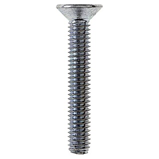 Profi Depot Tornillo de cabeza hueca hexagonal (M 10, Largo: 20 mm, 50 ud., Zincado)