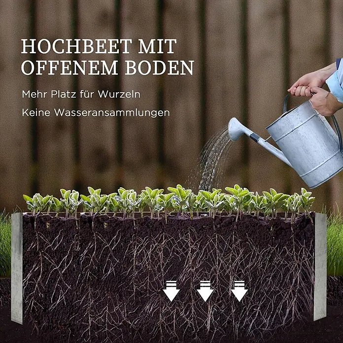 SONNENH Hochbeet mit Kunststoffhaube und Rankgitter - Kunststoff, silber - Hochbeet mit offenem Boden für tiefe Wurzeln und gute Drainage, beim Gießen dargestellt.