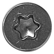 Profi Depot Zelfborende schroef A2 TX (Diameter: 5,5 mm, Lengte: 50 mm, Gehard roestvrij staal)