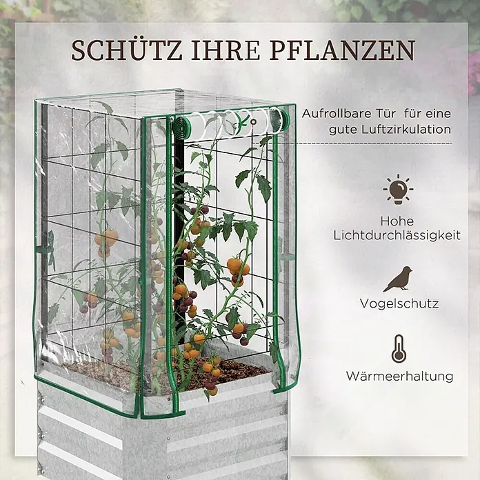 SONNENH Hochbeet mit Kunststoffhaube und Rankgitter - Kunststoff, silber - Klare Gewächshausabdeckung mit grünem Rahmen über einem Hochbeet mit Tomatenpflanzen.