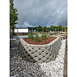 Cvetlični kamen (300 x 130 x 160 mm, Siva)