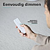 KlikAanKlikUit Dimmer Set ACC2-250RN (Wit, Afstandsbediening) | BAUHAUS