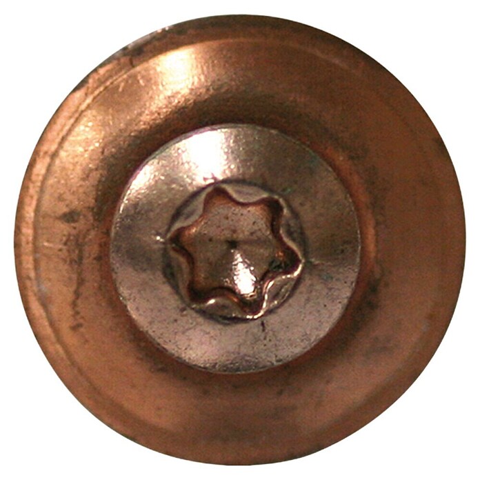 Profi Depot Limarski vijak A2  (Veličina prihvata: TX 20, Duljina: 20 mm, Pobakreno, 100 Kom.) | BAUHAUS