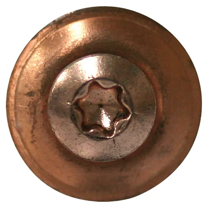 Profi Depot Spenglerschraube A2 - Antriebsgröße: TX 20, Länge: 60 mm, Verkupfert, 75 Stk. - Nahaufnahme einer Torx-Schraube mit breitem Kopf.