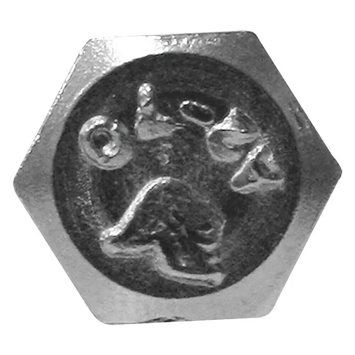 Profi Depot Sechskant-Holzschraube - Ø x L: 6 x 70 mm, 50 Stk., Edelstahl - Nahaufnahme einer Sechskantschraube aus Metall mit einem eingravierten Bild, das eine einzigartige und detaillierte Darstellung bietet.