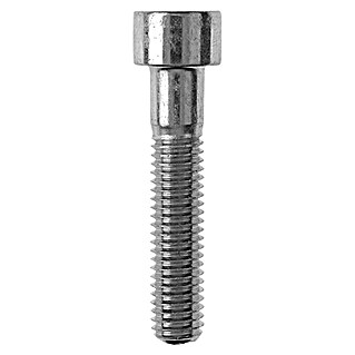 Profi Depot Tornillo de cabeza hueca hexagonal VZ (Ø x L: 10 x 25 mm, 50 ud., Zincado)