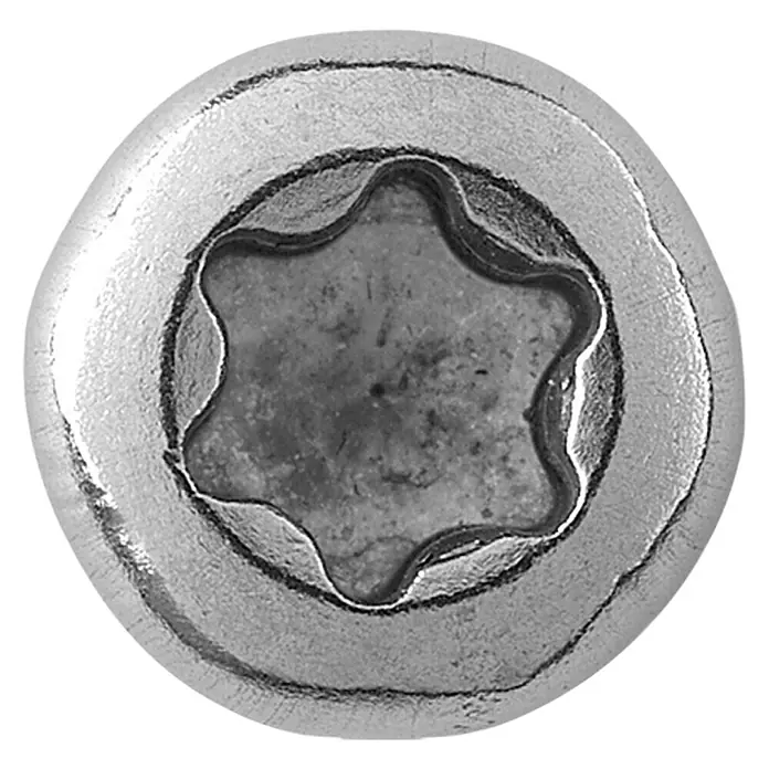 Profi Depot Holzbauschraube TX - Tellerkopf, TX für TORX-Antriebe, 25 Stk., Ø x L: 8 x 240 mm - Nahaufnahme einer Torx-Schraube, ein Befestigungselement mit einem sternförmigen Antrieb, ideal für sichere Verbindungen.