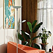 Alemar Lámpara de pie LED Kos (23 W, Verde, Altura: 178 cm, Blanco neutro) | BAUHAUS