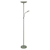 Alemar Lámpara de pie LED Kos (23 W, Verde, Altura: 178 cm, Blanco neutro) | BAUHAUS