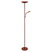 Alemar Lámpara de pie LED Kos (23 W, Terracota, Altura: 178 cm, Blanco neutro) | BAUHAUS