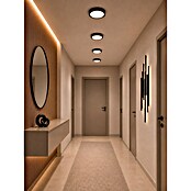 Ferotehna LED panel  (Ø x V: 225 x 31 mm, 18 W, 1.710 lm, Črna) | 3067 - Aufbauleuchten | CACK - Downlights | CAC - Indoorleuchten | CA - Beleuchtung | C - Elektro | BAUHAUS