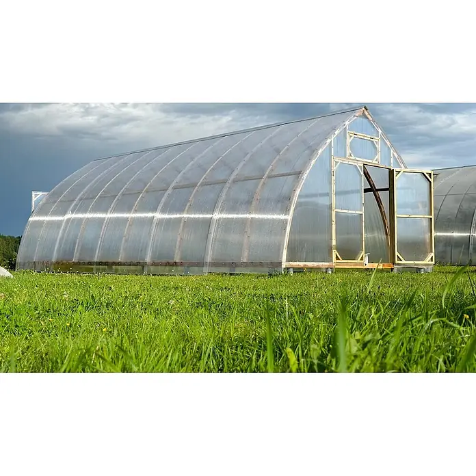 Garten Dream Gewächshaus Arched Wood - Außenmaß inkl. Dachüberstand (B x T): 500 x 1.000 cm, Material Seitenwand: Kunststoff, 4 mm, Braun - Tunnelgewächshaus mit klarer Kunststoffverkleidung und Holzrahmen auf einer grünen Wiese unter wolkigem Himmel.