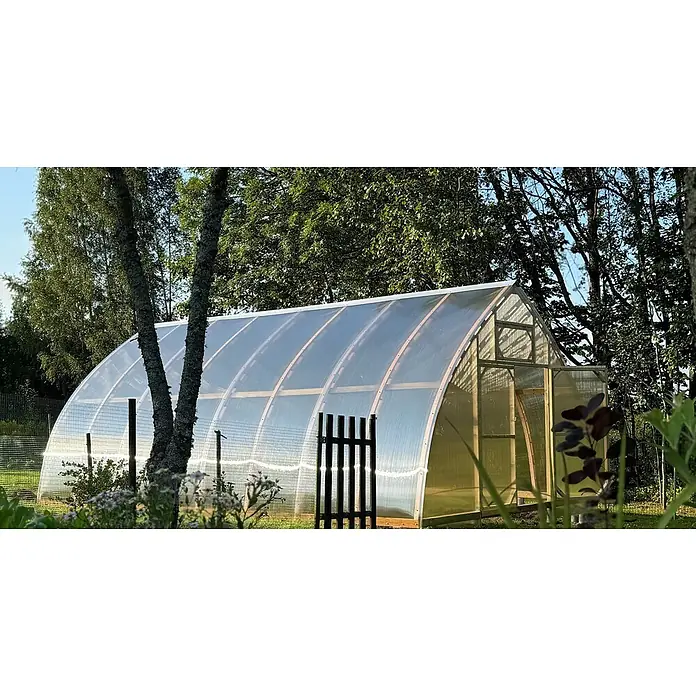 Garten Dream Gewächshaus Arched Wood - Außenmaß inkl. Dachüberstand (B x T): 500 x 1.000 cm, Material Seitenwand: Kunststoff, 4 mm, Braun - Gewölbtes Gewächshaus mit klarer Kunststoffverkleidung und Holzrahmen, in einem sonnigen Garten zwischen Bäumen.