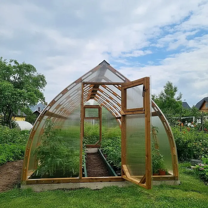 Garten Dream Gewächshaus Arched Wood - Außenmaß inkl. Dachüberstand (B x T): 300 x 1.000 cm, Material Seitenwand: Kunststoff, 6 mm, Braun - Ein gewölbtes Gewächshaus mit Holzrahmen und transparenten Platten, mit offener Tür und Fenster, gefüllt mit Pflanzen im Garten.