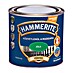 Hammerite Pisani lak