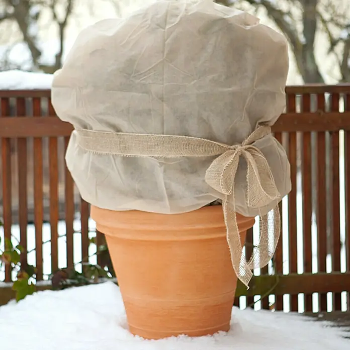 Floraworld Classic Winterschutzvlies - 5 x 1,5 m, Grammatur: 30 g/m² - Ein Blumentopf mit einer Pflanze, die mit einem Vliesstoff zum Schutz vor Frost abgedeckt und mit einer Schleife verziert ist.