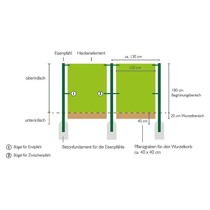 Helix Fertighecke Hecke am laufenden Meter® - Actinidia kolomikta 'Dr. Szymanowski', 120 x 20 x 180 cm - Technische Zeichnung einer Heckeninstallation mit grünen Elementen, Stahlpfosten und Betonfundamenten, inklusive Maßen für ober- und unterirdischen Bereich.