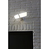 Lutec LED senzorski zunanji stenski reflektor Artica  (14,5 W, 1.200 lm, IP44) | 3087 - Outddor Wandstrahler | CAJA - Outdoorleuchten Hochvolt | CAJ - Outdoorleuchten | CA - Beleuchtung | C - Elektro | BAUHAUS