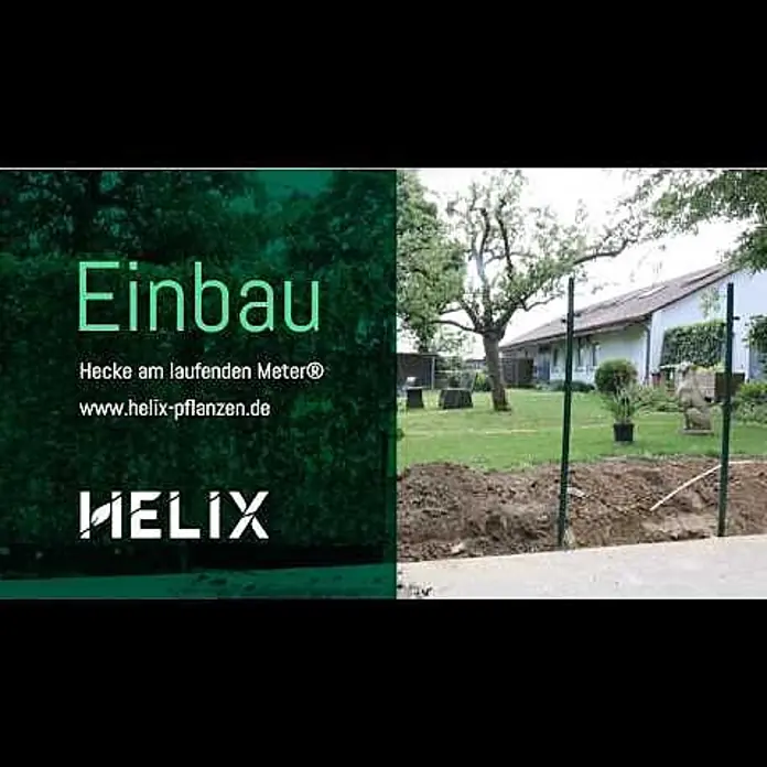 Helix Fertighecke Hecke am laufenden Meter® Balkon Komplettset - Hedera helix 'Woerneri', 100 x 20 x 166 cm - Einbauanleitung Hecke am laufenden Meter