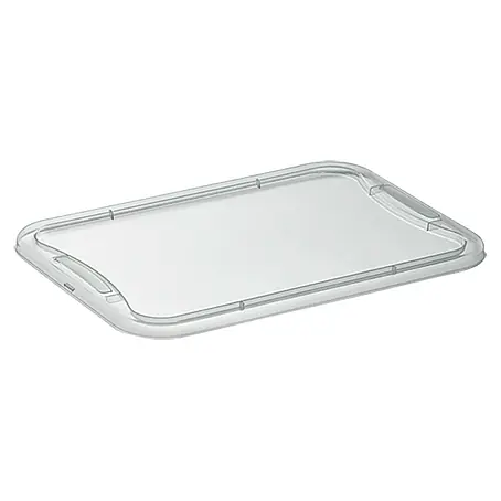 Regalux  Tapa para Clear Box XS / S
