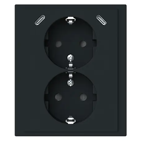 Busch-Jaeger  USB-Steckdose Safety+ mit 2x USB-C Schwarz matt 202EUJRB2USBC-885