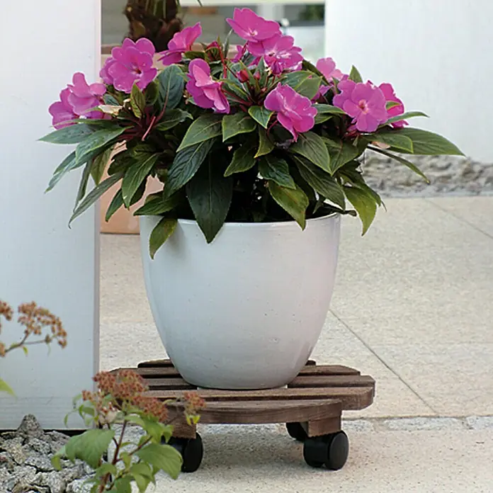 Wagner System Pflanzenroller Andaluz - Holz, Palisander, Max. Belastung: 100 kg - Der Blumentopf mit lila Blumen steht auf einem rollbaren Untersetzer. Ideal für flexible Gartengestaltung.