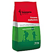Semena okrasne trave  (10 kg) | 8125 - Rasensamen Marke | IBYA - Sämereien | IBY - Sämereien | IB - Grünpflanzen/Sämereien | I - Stadtgarten | BAUHAUS