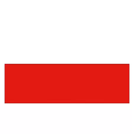 Flagge