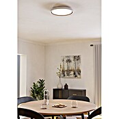 Eglo LED-Deckenleuchte rund Semovigo (18 W, Ø x H: 40 x 6 cm, Dunkles Messing, Neutralweiß) | BAUHAUS