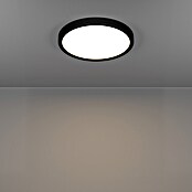 Eglo Fueva 6 Ledpaneel, rond (14,2 W, Ø x h: 27,8 x 2,5 cm, Zwart, Warm wit) | BAUHAUS