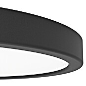 Eglo Fueva 6 Ledpaneel, rond (14,2 W, Ø x h: 27,8 x 2,5 cm, Zwart, Warm wit) | BAUHAUS