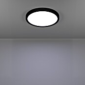 Eglo Fueva 6 Ledpaneel, rond (14,2 W, Ø x h: 27,8 x 2,5 cm, Zwart, Warm wit) | BAUHAUS