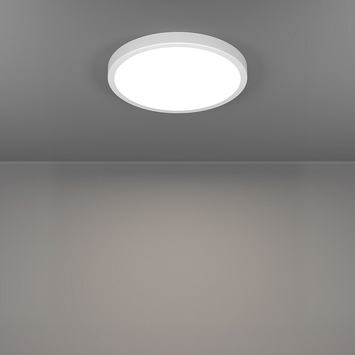 Eglo Fueva 6 Ledpaneel, rond (14,2 W, Ø x h: 27,8 x 2,5 cm, Wit, Warm wit) | BAUHAUS