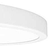 Eglo Fueva 6 Ledpaneel, rond (14,2 W, Ø x h: 27,8 x 2,5 cm, Wit, Warm wit) | BAUHAUS