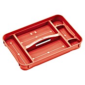 Regalux Inzetstuk voor Clear Boxen M / XL (Passend bij: Regalux Clear Box M/XL, Aantal vakken: 6)