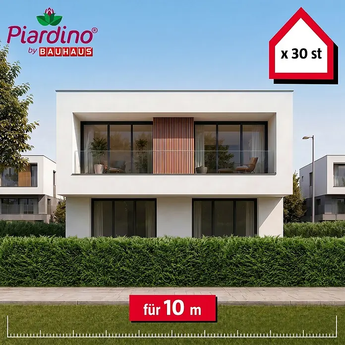 Piardino Leyland-Zypresse - 100 cm - 125 cm, Cupressocyparis leylandii, 30 Stk. - Informationsansicht