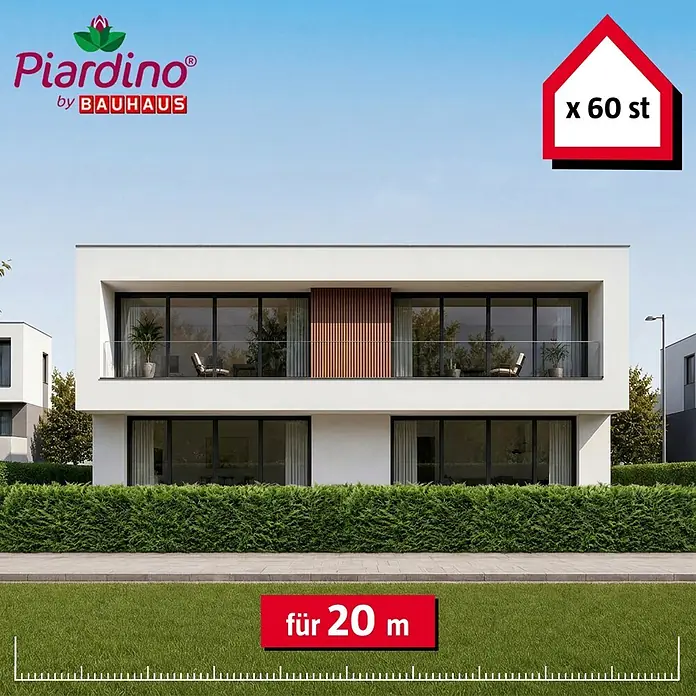 Piardino Leyland-Zypresse - 100 cm - 125 cm, Cupressocyparis leylandii, 60 Stk. - Informationsansicht