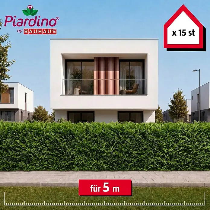 Piardino Leyland-Zypresse - 100 cm - 125 cm, Cupressocyparis leylandii, 15 Stk. - Informationsansicht