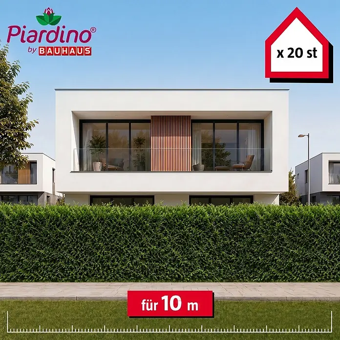 Piardino Leyland-Zypresse - 175 cm - 200 cm, Cupressocyparis leylandii, 20 Stk. - Informationsansicht