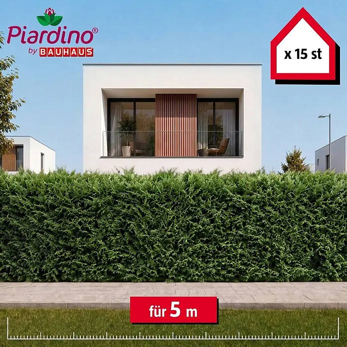 Piardino Leyland-Zypresse - 125 cm - 150 cm, Cupressocyparis leylandii, 15 Stk. - Grüne Heckenpflanzen für 5 Meter, 15 Stück, als dichte Hecke vor modernen Häusern dargestellt.
