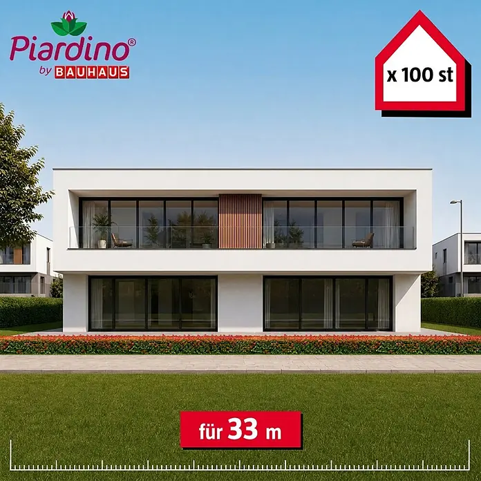 Piardino Glanzmispel Red Robin - 60 cm - 80 cm, Photinia fraseri 'Red Robin', 100 Stk. - Informationsansicht