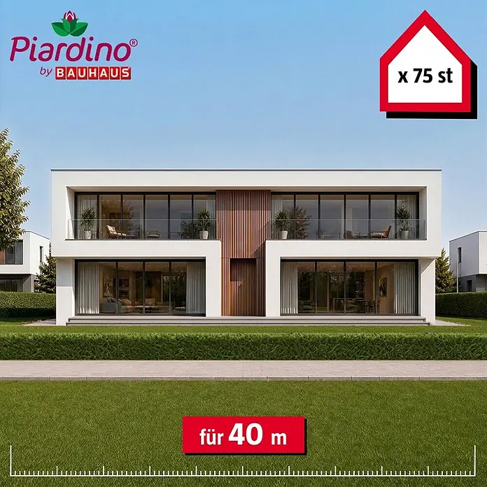 Piardino Leyland-Zypresse - 80 cm - 100 cm, Cupressocyparis leylandii, 75 Stk. - Informationsansicht
