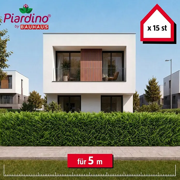 Piardino Leyland-Zypresse - 80 cm - 100 cm, Cupressocyparis leylandii, 15 Stk. - Informationsansicht