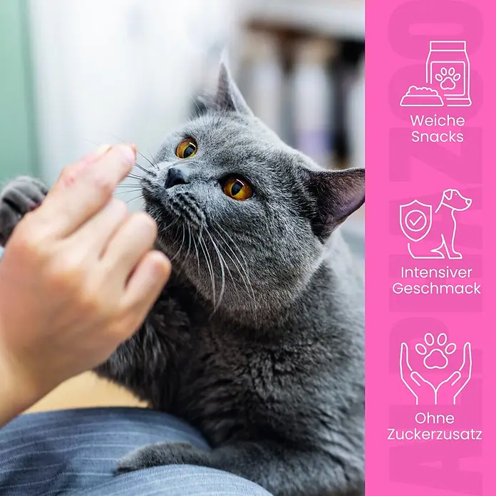 Alphazoo Katzensnack Pferdammt Lecker - 160 g